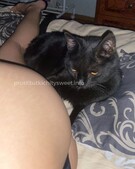 Анкета проститутки Каролина - метро Царицыно, возраст - 23